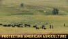 protecting american ag CORA 1280.jpg