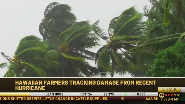 Hurricane Brings New Threat to Hawaii Agriculture