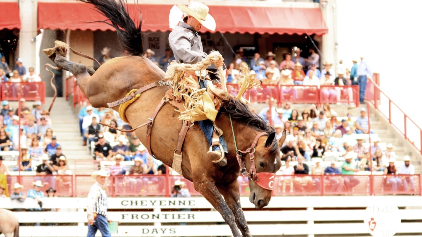 2025 Nfr Bronc Riders