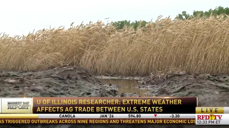 Extreme Weather Ripple Effects - RFD