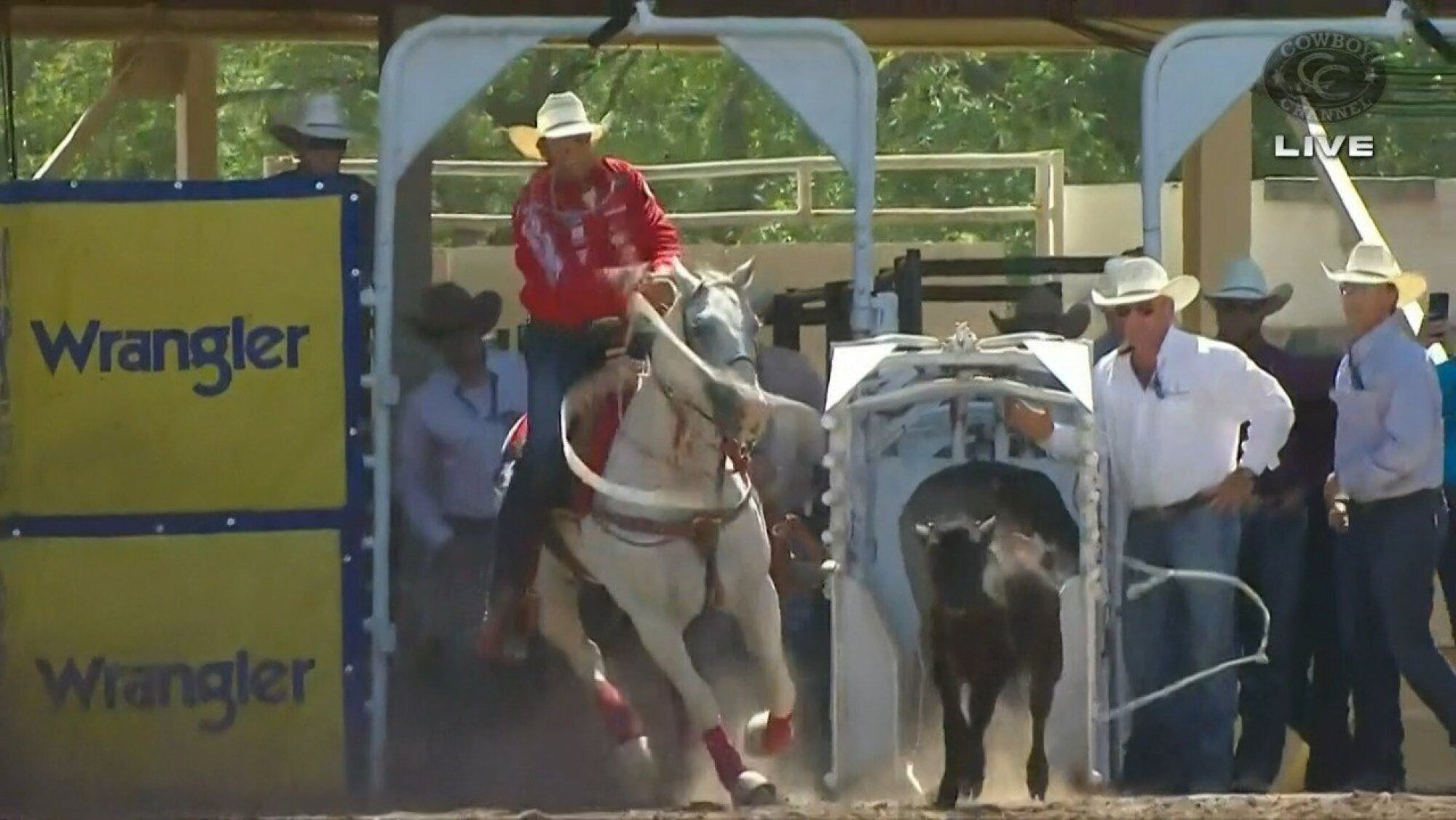 PRCA TieDown Roping Standings Update Shad Mayfield Leads a Decorated