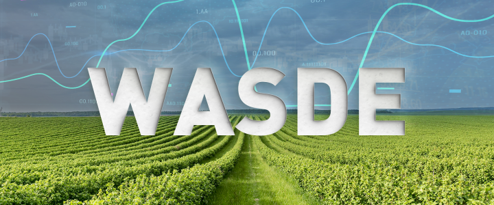 Wasdwe July WASDE Report Signals Historic Wheat Decline, Stronger Corn Demand ...